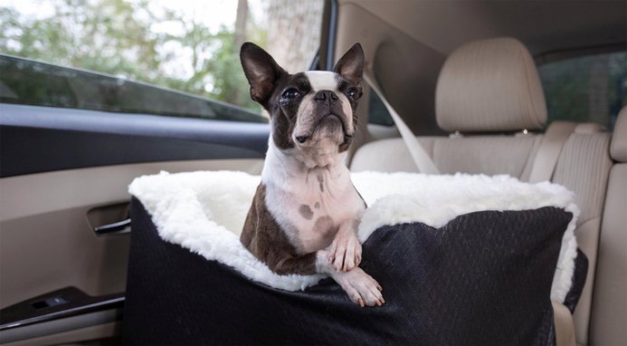 Snoozer Pet Products Highback Console Dog & Cat Booster Seat
