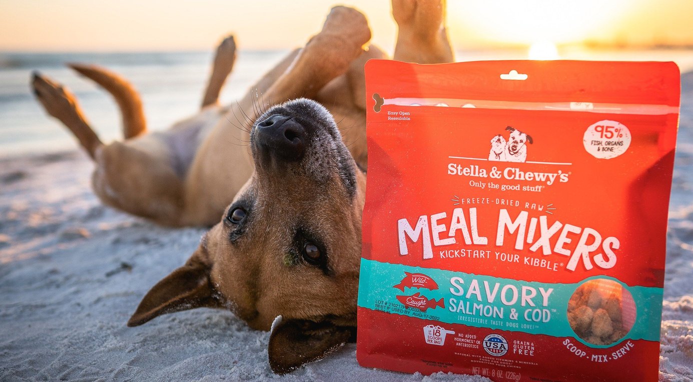 STELLA & CHEWY'S Stella's Super Beef Meal Mixers FreezeDried Raw Dog