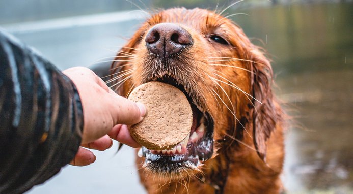 Stella & Chewy's Dandy Lamb Dinner Patties Freeze-Dried Raw Dog Food