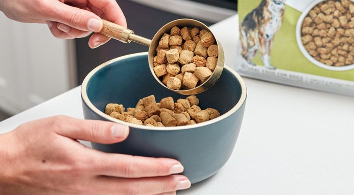 The Honest Kitchen Grain-Free Beef Whole Food Clusters Dry Dog Food