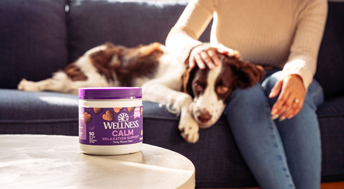 Wellness Belly Digestive Health Support Reviews WELLNESS Belly Digestive Health Support Pumpkin Flavor Chew Supplements
