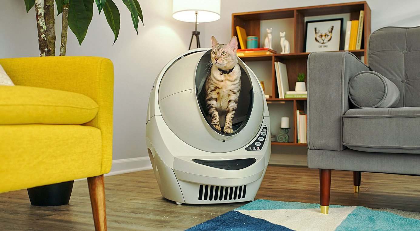 LITTERROBOT 3 & Core Accessories Kit, Grey