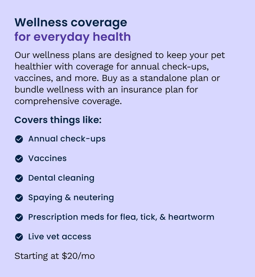 Wellness Net Insurance CarePlus Pet Insurance & Wellness | Chewy Health