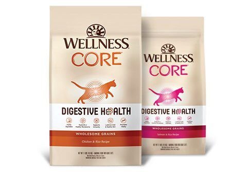 WELLNESS CORE Digestive Health Wholesome Grains Chicken Rice