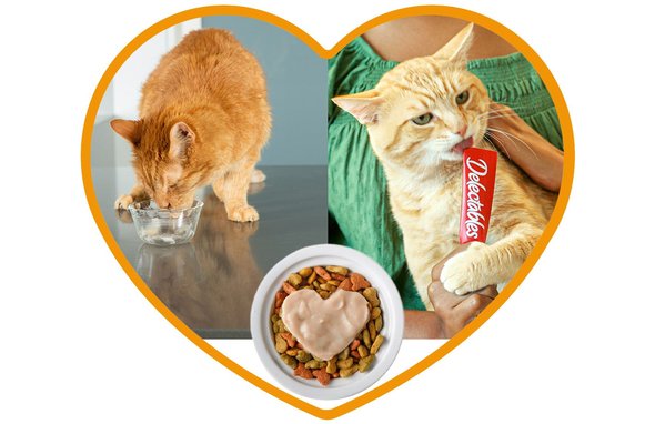 HARTZ Delectables Squeeze Up Variety Pack Lickable Cat Treats 0.5