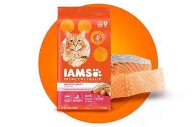 IAMS ProActive Health Healthy Senior Dry Cat Food 16 lb bag