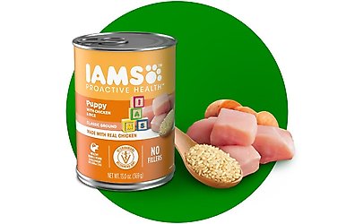 IAMS ProActive Health Classic Ground with Chicken Rice Puppy Wet Dog Food 13 oz case of 24 Chewy