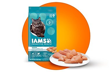 Iams Proactive Health Indoor Weight & Hairball Care Chicken & Turkey Recipe Dry Cat Food