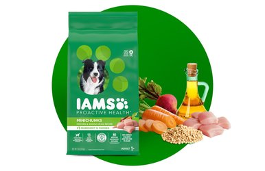 IAMS Proactive Health Minichunks with Real Chicken Whole Grains