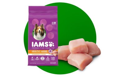 IAMS Proactive Health Healthy Aging with Real Chicken Senior Dry Dog Food 29.1 lb bag Chewy