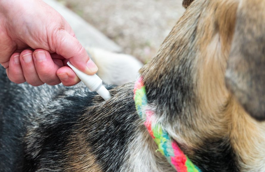 K9 ADVANTIX II Flea & Tick Spot Treatment for Dogs, 410 lbs, 6 Doses