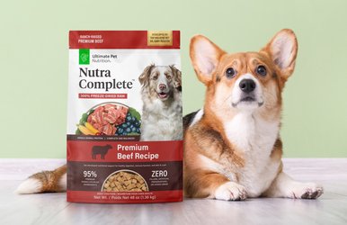 ULTIMATE PET NUTRITION Nutra Complete Premium Beef Freeze Dried