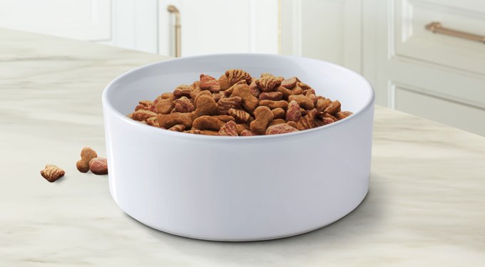 9 Lives Pate Favorites Variety Pack Canned Cat Food