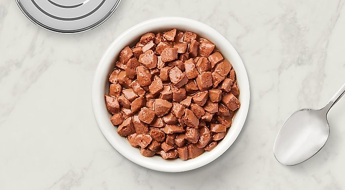 9 Lives Pate Favorites Variety Pack Canned Cat Food