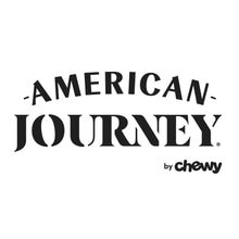 American Journey