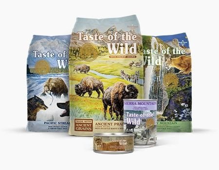 TASTE OF THE WILD Ancient Prairie with Ancient Grains Dry Dog Food