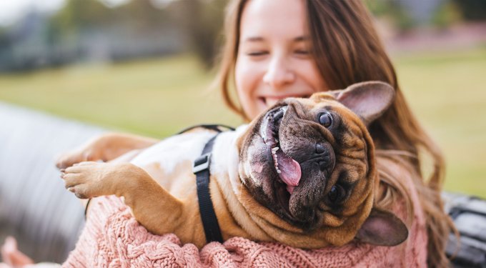 Blue Buffalo Basics Skin & Stomach Care Grain-Free Formula Duck & Potato Recipe Adult Dry Dog Food