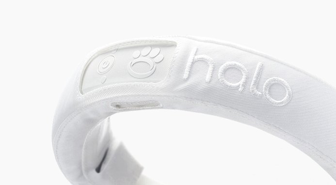 Discontinued - HALO COLLAR 2+ GPS Dog Collar & Wireless Virtual Fence