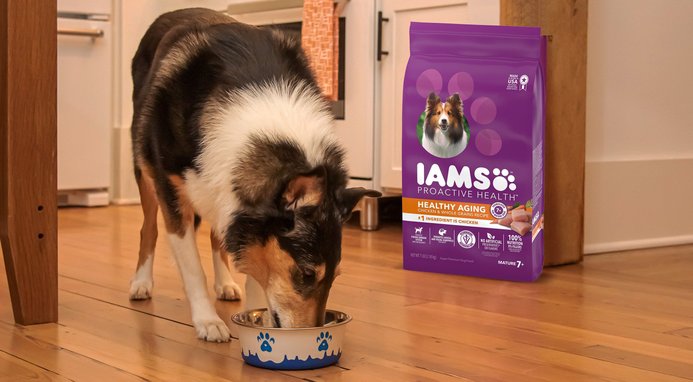 Iams proactive health smart puppy review shop