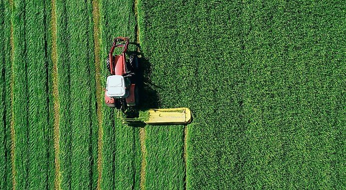 Nutro Natural Choice Senior Chicken & Brown Rice Recipe Dry Dog Food