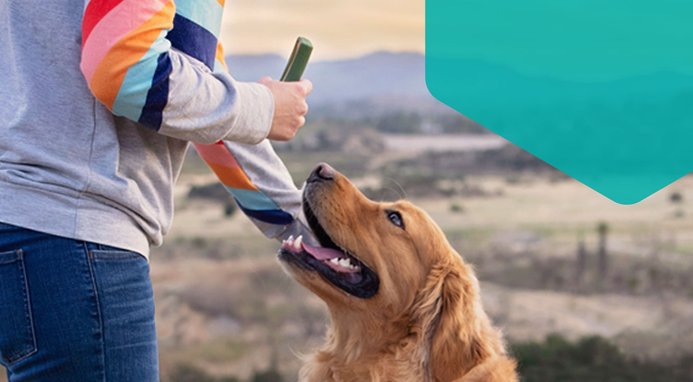 OraVet Hygiene Dental Chews for Small Dogs, 10-24 lbs