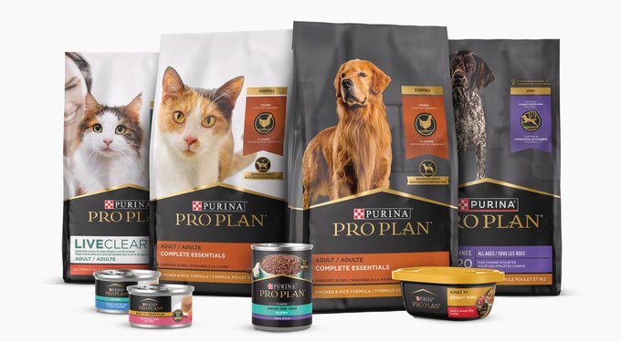Purina Pro Plan Sensitive Skin & Stomach Wet Dog Food Pate Salmon & Rice Entree, 13-oz can, case of 12