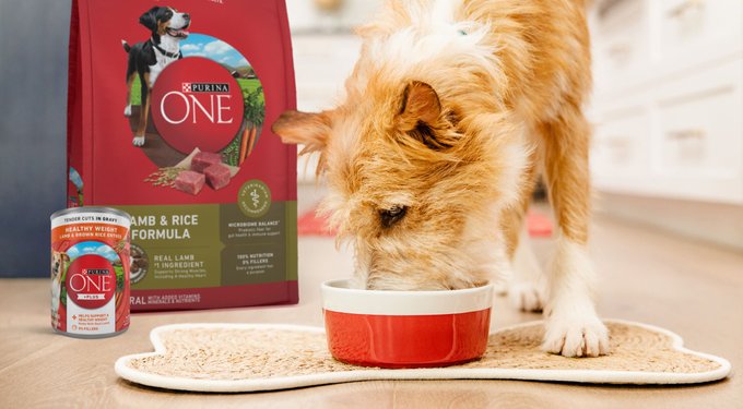 PURINA ONE SmartBlend Vibrant Maturity 7+ Chicken Formula Adult Premium ...