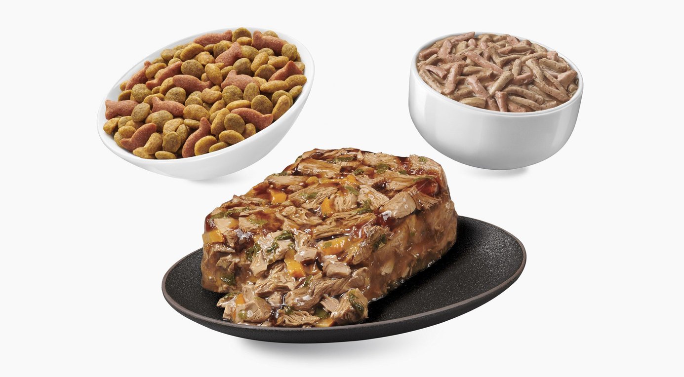 Discontinued Purina Friskies Party Mix Seafood Lovers Crunch Cat