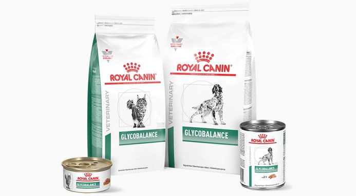 ROYAL CANIN VETERINARY DIET Adult Glycobalance Thin Slices in Gravy Canned Cat Food 3 oz case of 24 Chewy