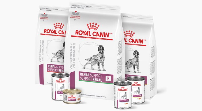 ROYAL CANIN VETERINARY DIET Adult Renal Support S Dry Dog Food 6