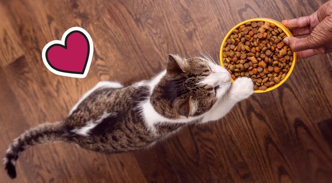 Temptations Meaty Bites Chicken Flavor Soft & Savory Cat Treats