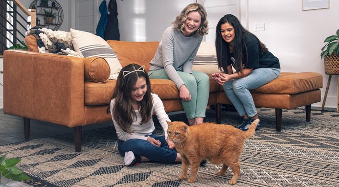 Litter-Robot 4 Automatic Self-Cleaning Cat Litter Box