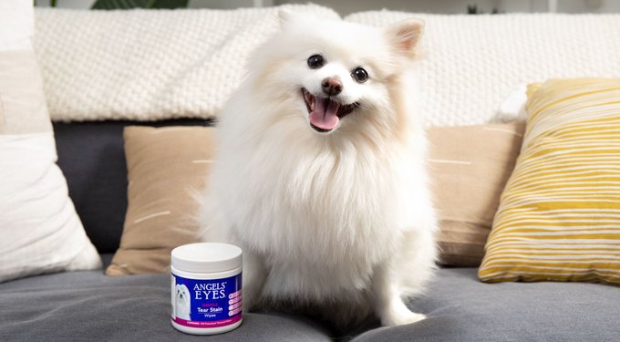 Angels' Eyes Natural Chicken Flavored Soft Chew Tear Stain Supplement for Dogs & Cats