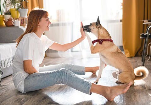 Annamaet Original Puppy Dry Dog Food
