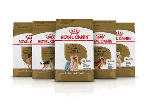 Chewy royal canin chihuahua hotsell