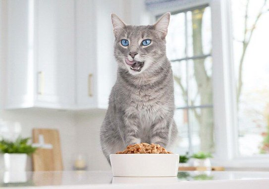 Blue Buffalo Tastefuls Tuna, Chicken, Fish & Shrimp Entrées Variety Pack Flaked Wet Cat Food