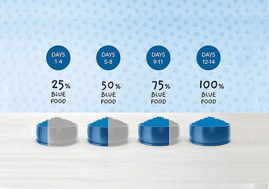 days 1 to 4 use 25 percent blue food. days 5 to 8 use 50 percent blue food. days 9 to 11 use 75 percent blue food. days 12 to 14 use 100 percent blue food.