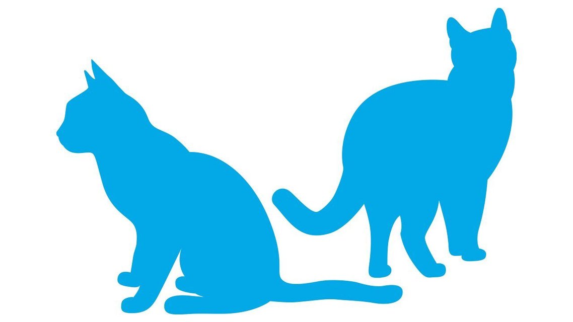 ARM & HAMMER LITTER Cloud Control Platinum MultiCat Clumping Cat