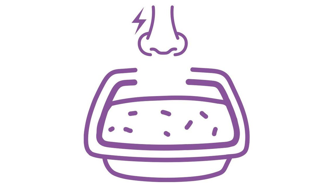 ARM & HAMMER LITTER Forever Fresh Cedarwood Clumping Cat Litter, 18lb