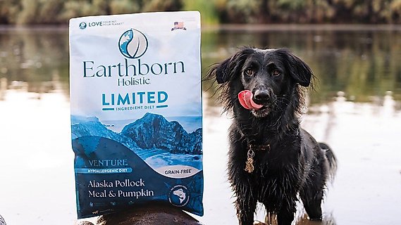 Discontinued EARTHBORN HOLISTIC Puppy Vantage Dry Dog Food 25 lb bag Chewy