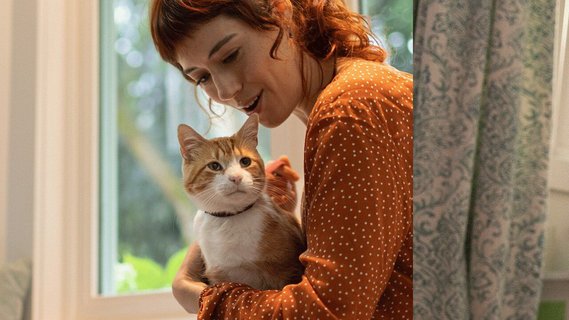 Hills hairball control light online