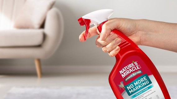 Nature's miracle no marking spray best sale