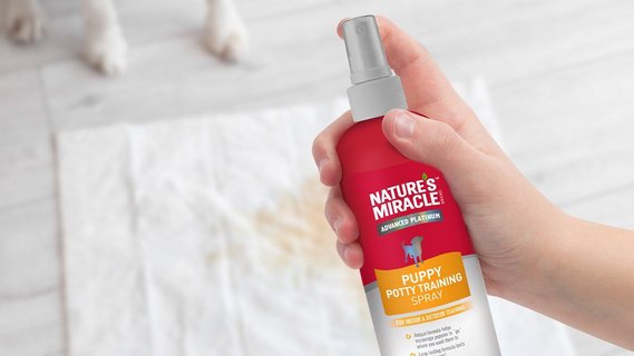 NATURE S MIRACLE House Breaking Potty Training Spray 16 oz bottle Chewy