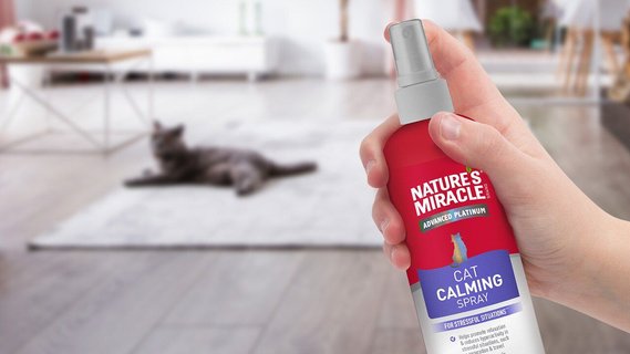 NATURE S MIRACLE Advanced Platinum Indoor Training Aid Cat Repellent Spray 8 fl oz bottle Chewy