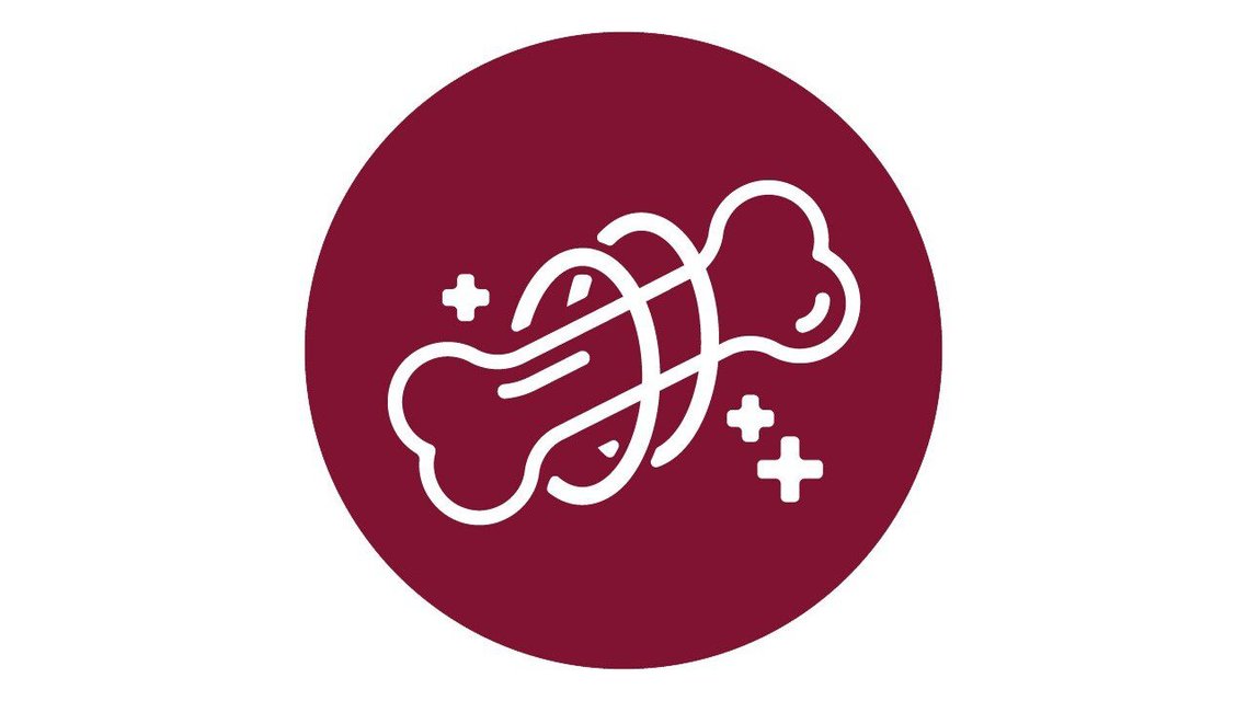 NYLABONE Broth Bones for Small Dogs, 20 count