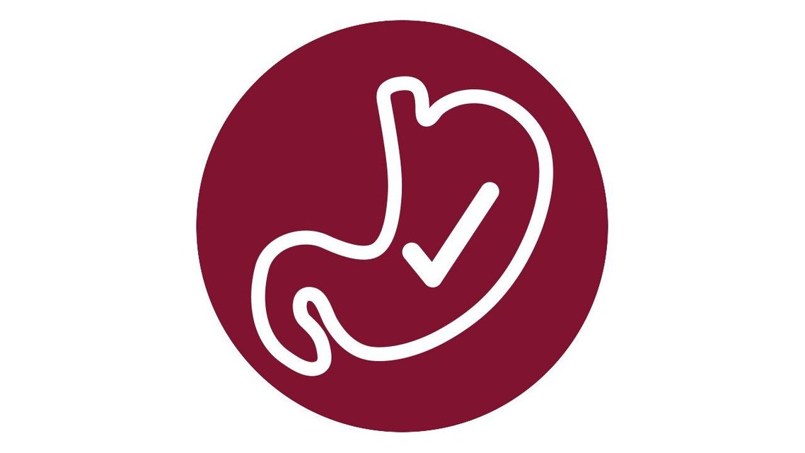 NYLABONE Broth Bones for Small Dogs, 20 count