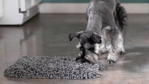 PET PARENTS Forager Slow Feeder Cat Dog Snuffle Mat Feeding Mat Forest Grey Large Chewy