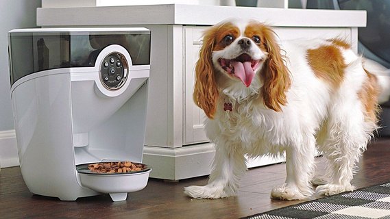 Robot pet feeder cheap