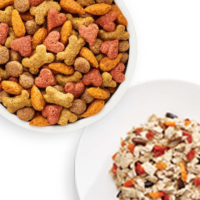 PURINA BENEFUL IncrediBites with Real Salmon & Gravy Small Breed Wet