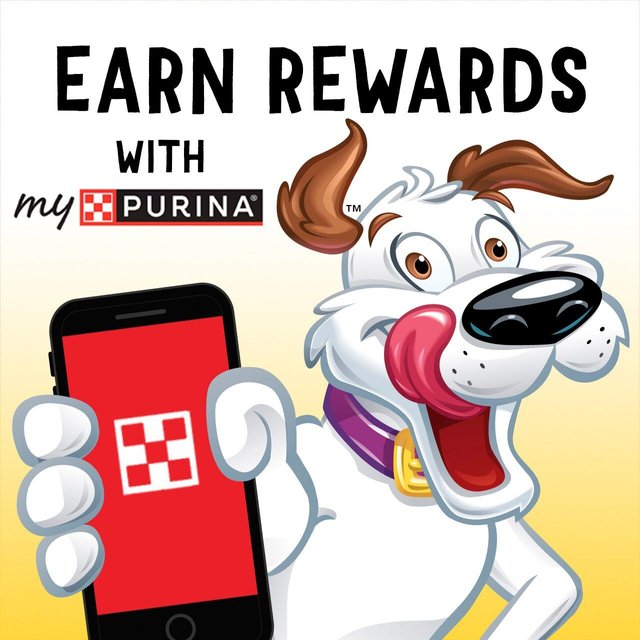 BEGGIN' Flavor Stix with Bacon & Peanut Butter Flavor Soft & Chewy Dog